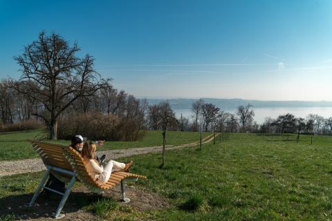 Jahr der Geschichte 2024: 1300 Jahre Reichenau - (c) MTK, Thorsten Günthert